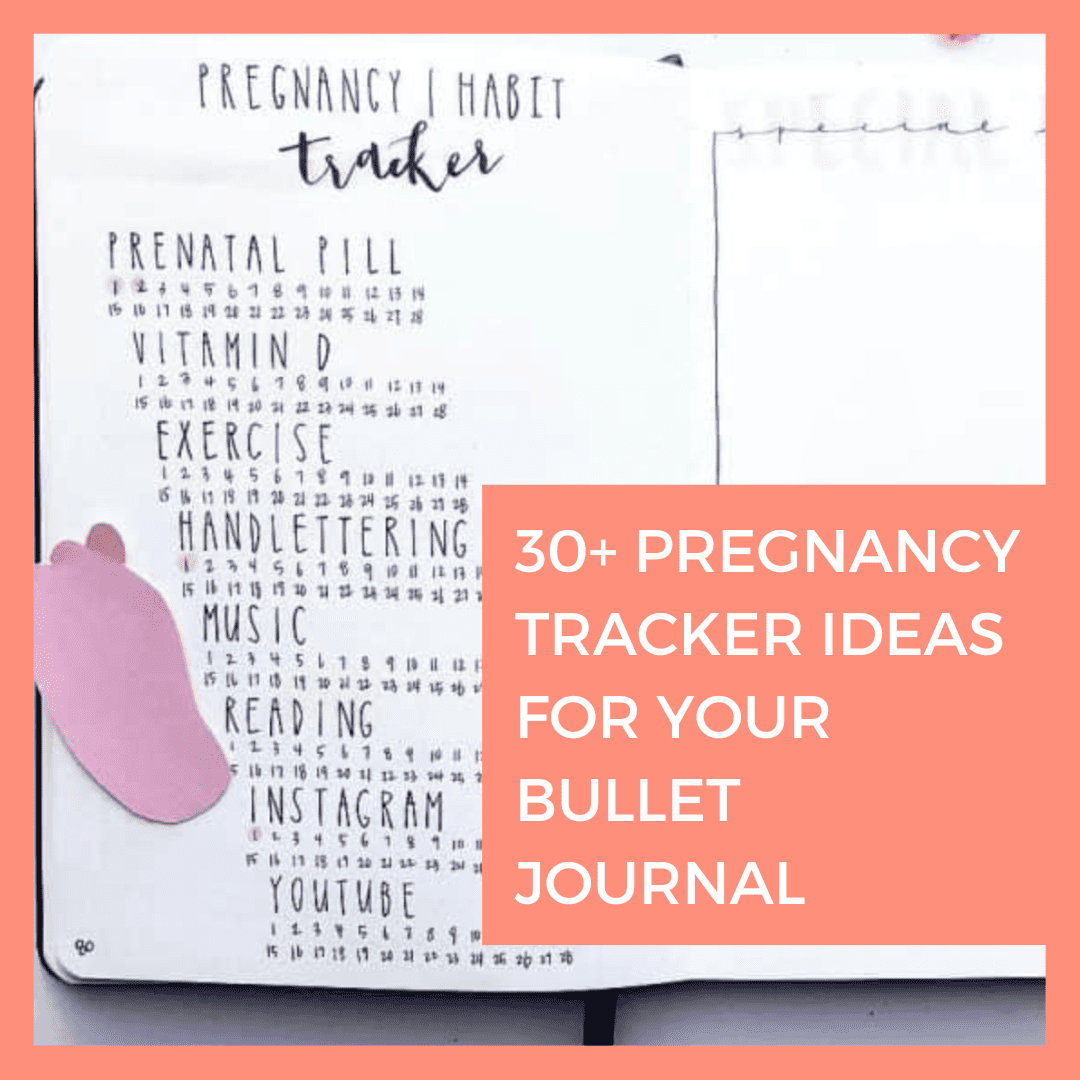 33 Awesome Pregnancy Tracker Bullet Journal Layouts To Capture Milestones