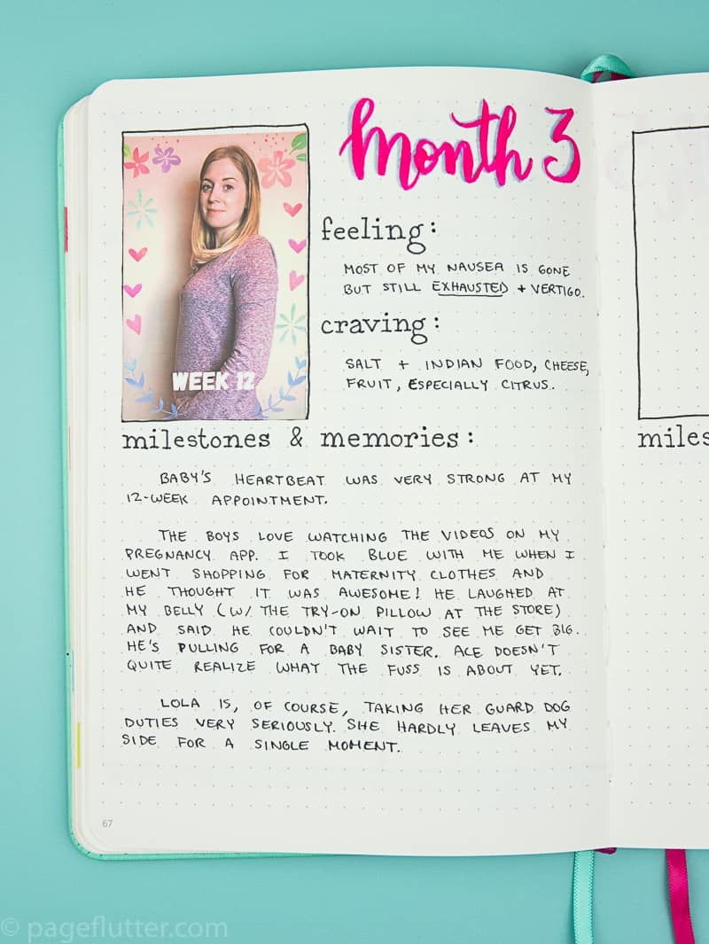 4 Pregnancy Bullet Journal Trackers To Prepare For Baby Page Flutter