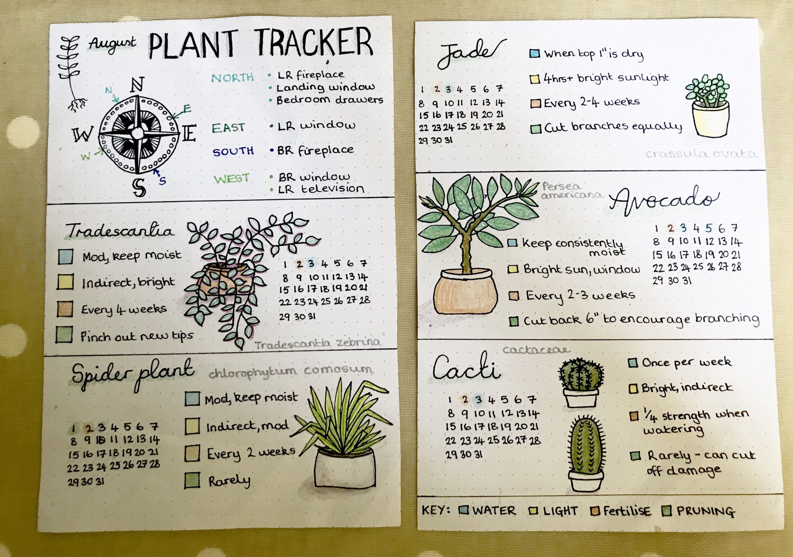 bullet journal plant tracker
