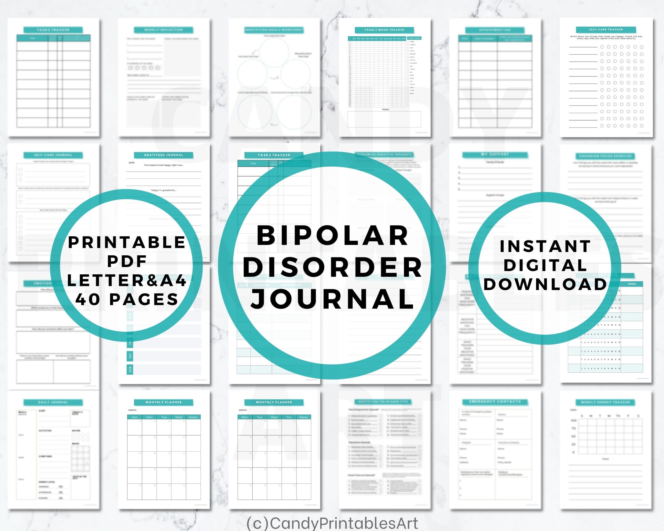 Bipolar Disorder Journal Bipolar Mood Tracker Daily Productivity Worksheets Etsy