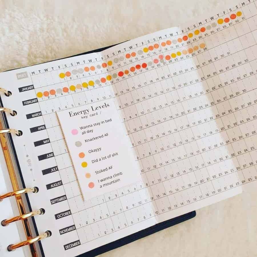 bullet journal habit tracker yearly