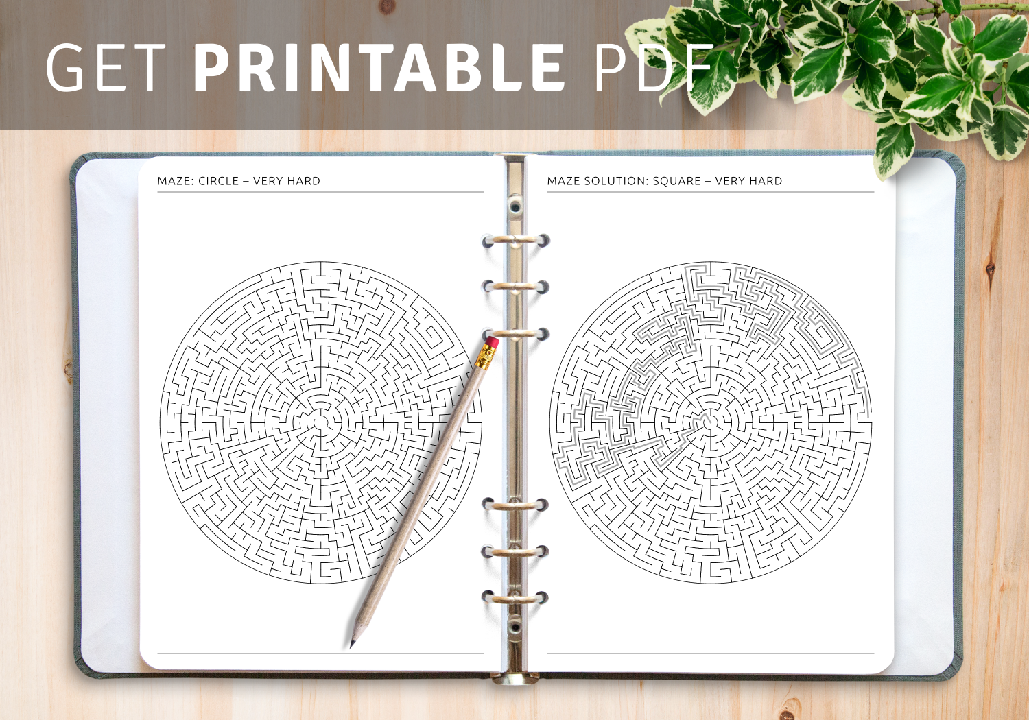 Download Printable Very Hard Circle Maze PDF