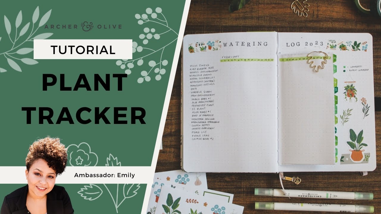 How To Create A Houseplant Watering Tracker Plant Care 101 YouTube