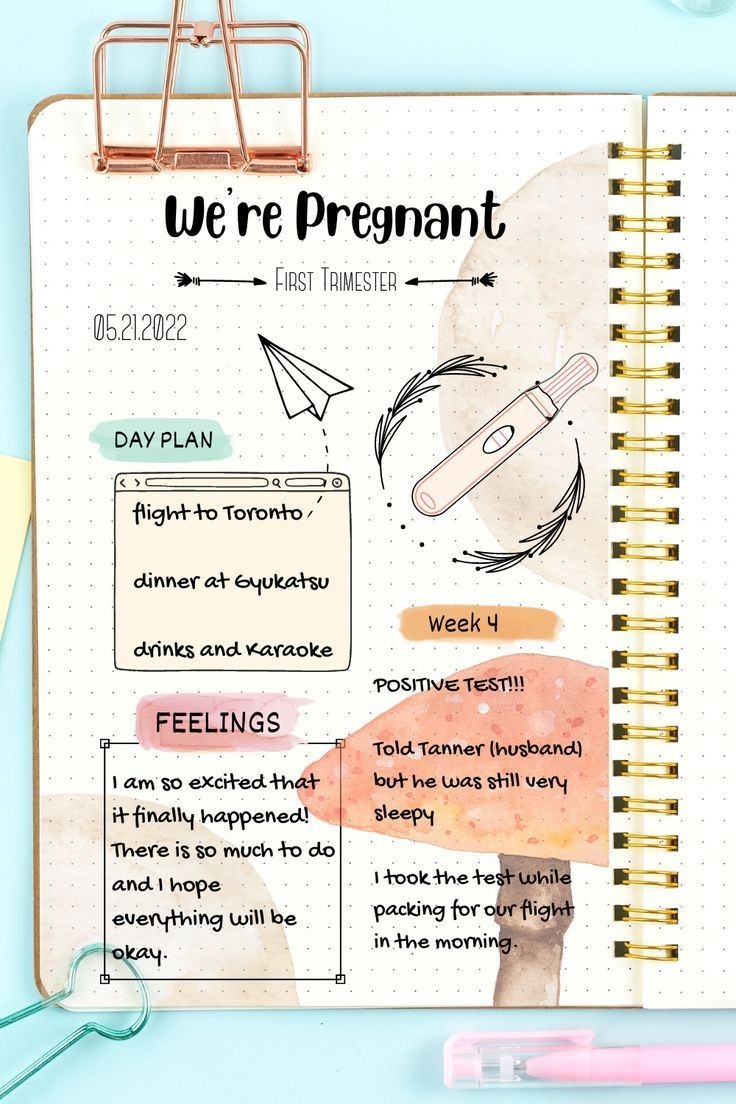 Pregnancy Bullet Journal Idea