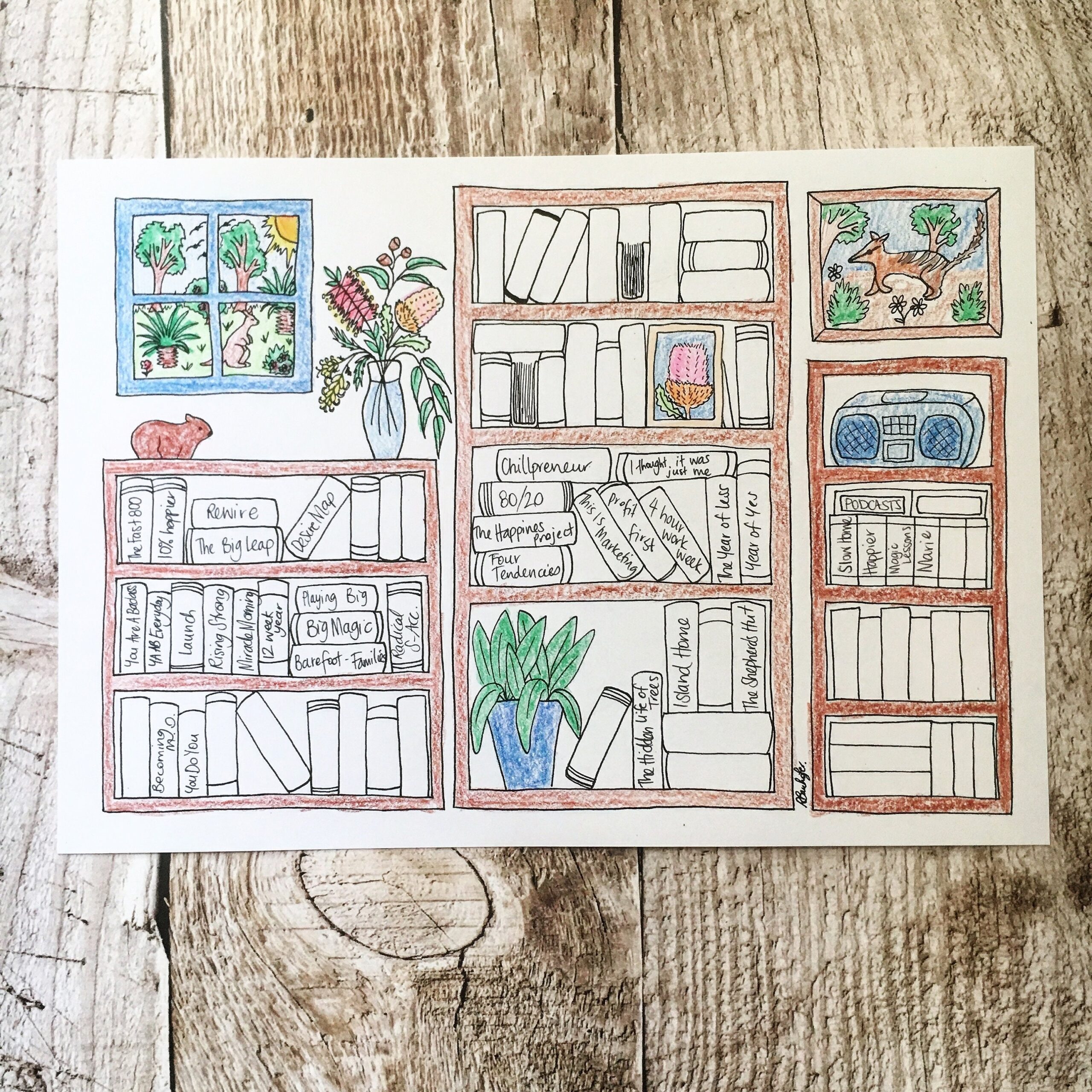 bullet journal bookcase