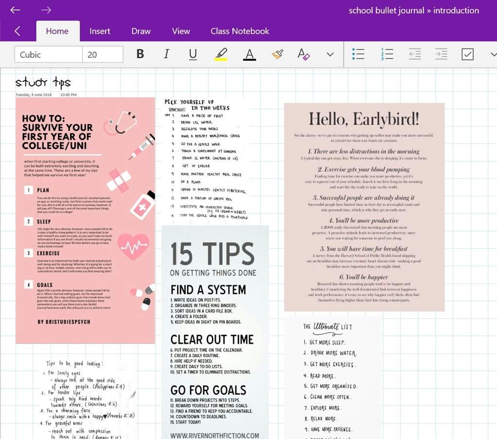 Digital Bujo Setup Using One Note Bullet Journal Amino