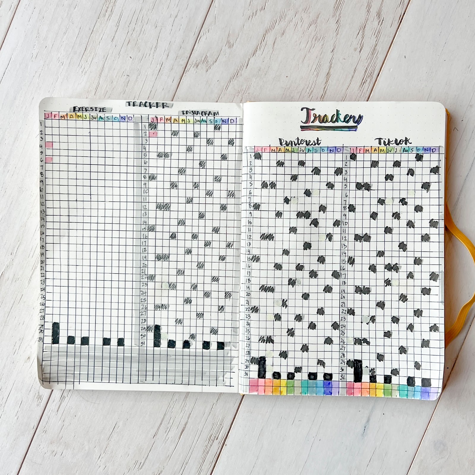 Bullet Journal Habit Tracker Opinion