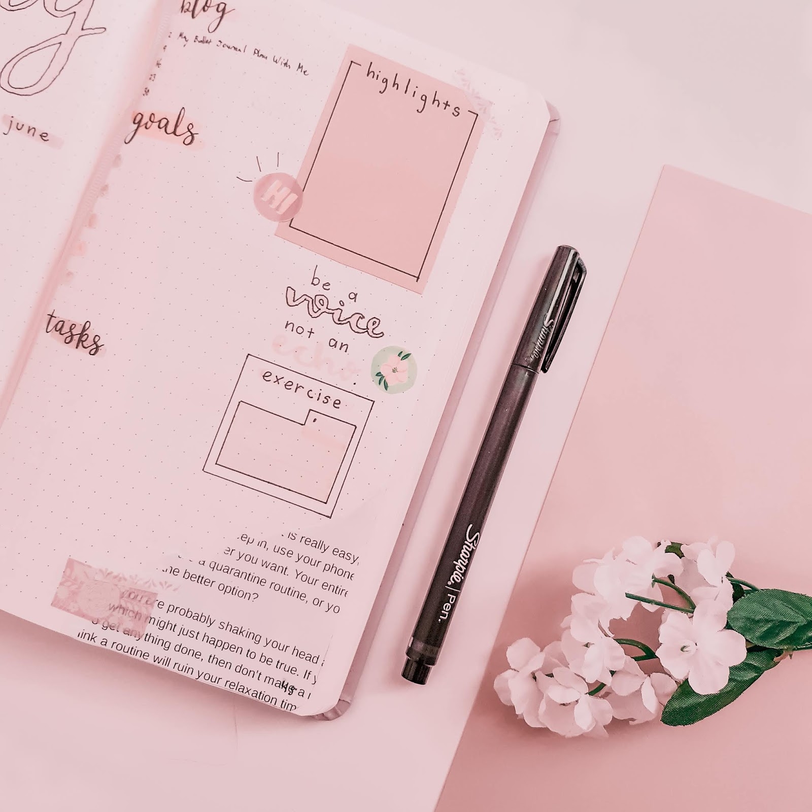 Plan With Me May Bullet Journal Layout Productive Pixie Plan With Me May Bullet Journal Layout Productive Pixie