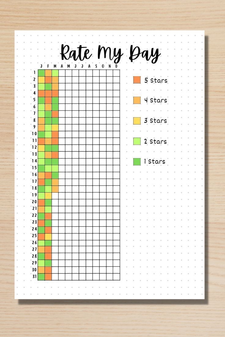 rate my day bullet journal